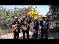 COKA Y SU BARRIO BRAVO