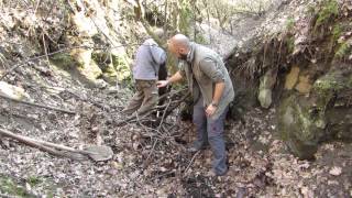 Изграждане на водоем за земноводни - Building an amphibian pond