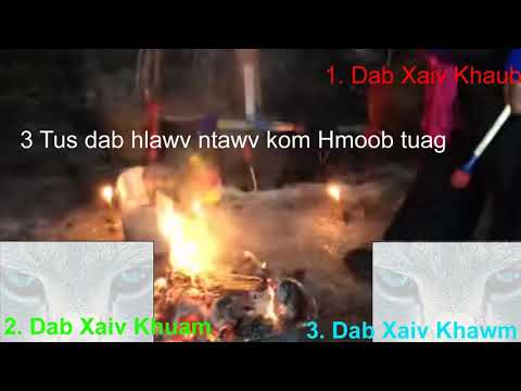 Video: 3 Cov Kho Kom Raug Pub Dawb Thiab Siv Video
