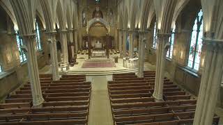 Fifth Sunday in Ordinary Time