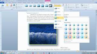 Word2010 INSERT Illustrations Picture