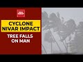 Three Deaths In Tamil Nadu After Cyclone Nivar Hits In; Puducherry, Cuddalore Worst-Hit