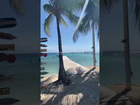 ვიდეო: უტილას კუნძული ჰონდურასის მოგზაურობის პროფილი