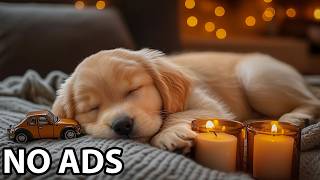 12 Hours Dog Anxiety Music 💖 Dog Calming Music - Dog Soft Sounds For Comfort And Deep Relaxation screenshot 5