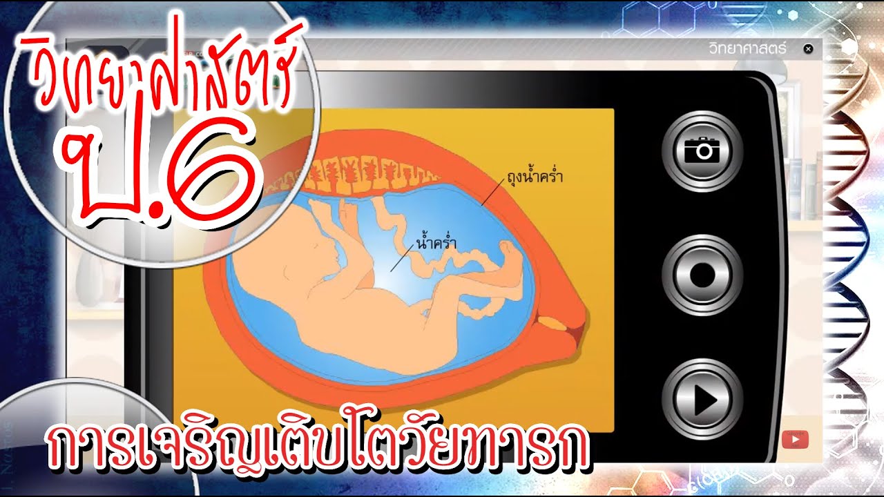 การเจริญเติบโตวัยทารก - วิทยาศาสตร์ ป.6