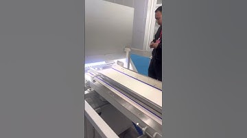 macadamia nuts color sorting machine color sorter machine