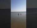 Азовское море Ясенская переправа 05.08.23 #видеоблоги