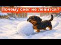 29.Почему снег не лепится? | Сказки про Дружка и Васечку | +стих, песни, раскраска #аудиосказка