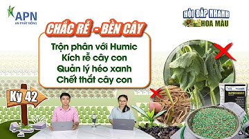 APN - BÓN PHÂN, CHẾT CÂY CON, KÍCH RỄ CÂY CON | CHĂM SÓC GỐC RỄ MÙA MƯA