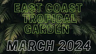 March 2024 Update | My tropical style garden in the UK | Spring time! #garden #gardening #tropical