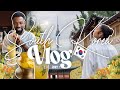 🇰🇷South Korea Vlogs Part I🇰🇷 | Hanok Cafes, Mango Buffet, Night Out in Seoul