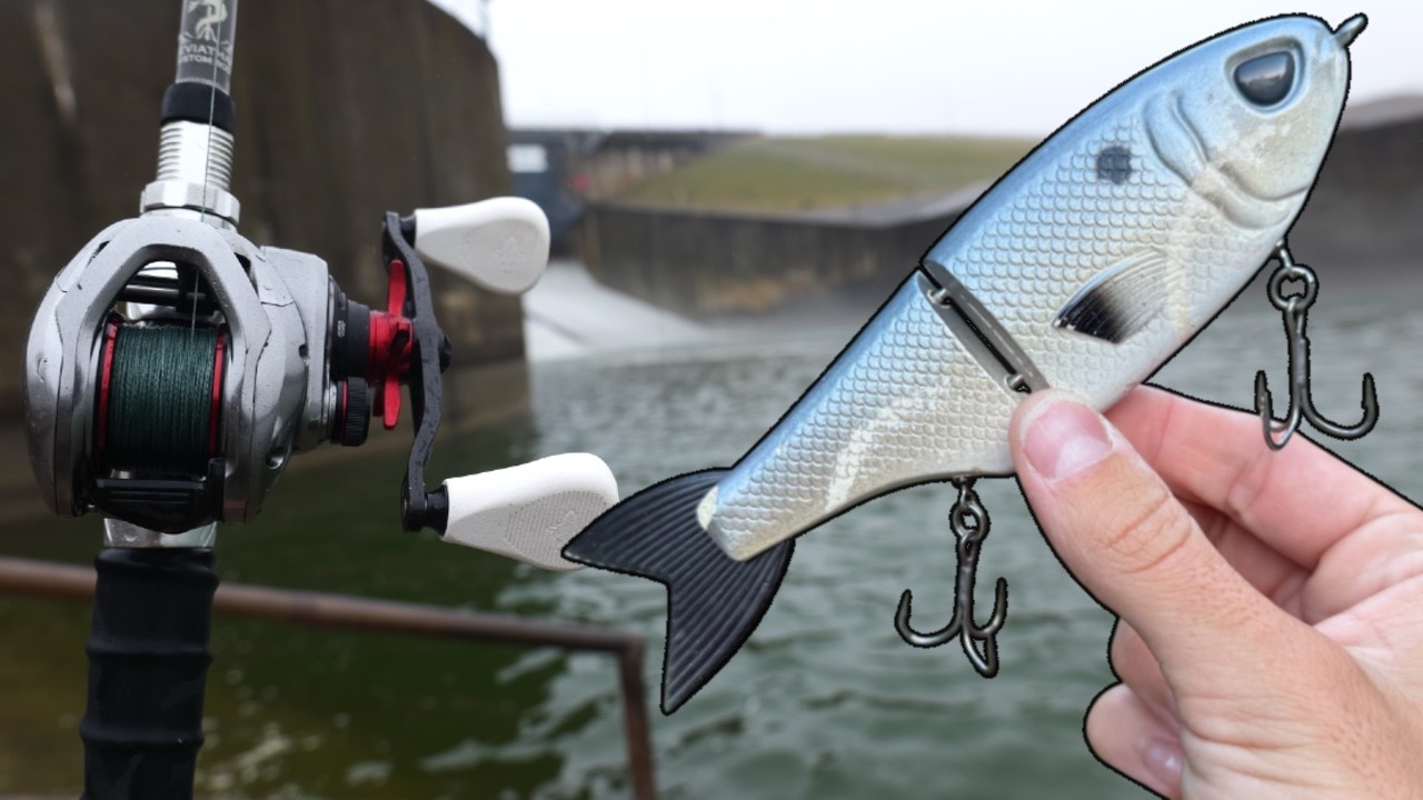 Fishing Swimbaits for Aggressive River Monsters!
