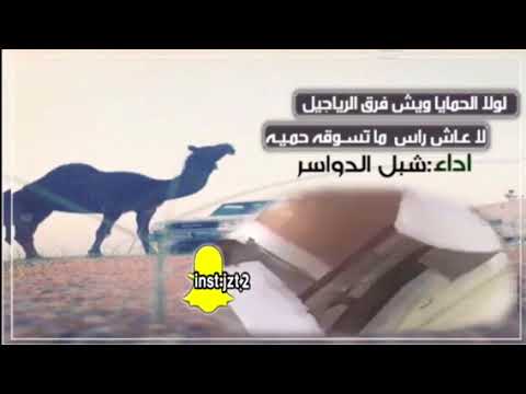 شيلة لولا الحمايا ويش فرق الرياجيل اداء شبل الدواسر