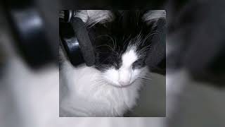 Sped Up Edit Audios Pt.31