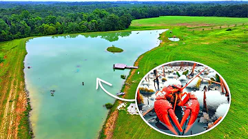 Trapping Crawfish for the 5 Acre Pond!