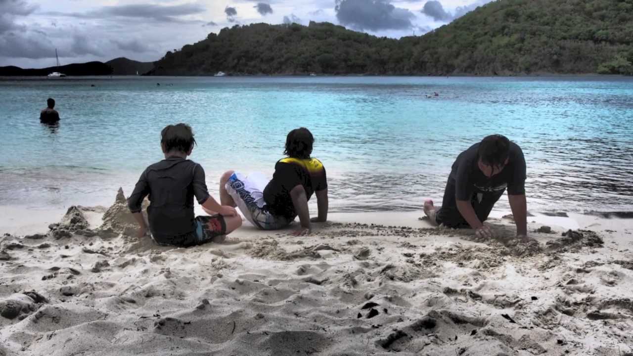 Reef Shark at Hawksnest Bay St John USVI.mov YouTube