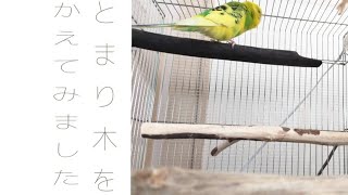 [鳥さん] 備長炭のとまり木について