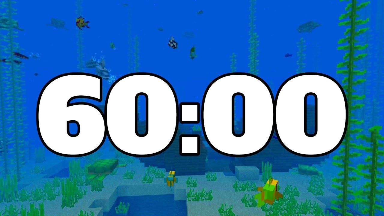 60 MINUTE TIMER. 1 HOUR TIMER. MINECRAFT TIMER. - YouTube