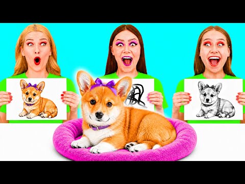 Who Draws it Better Take The Prize | Amazing Hacks and Tricks by PaRaRa Challenge