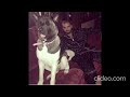 Drake Type Beat - "Dog Day"