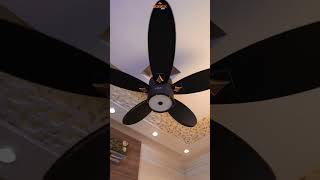 ✨ Sapphire Fan Premium BLDC Ceiling Fan by Sonex Fans