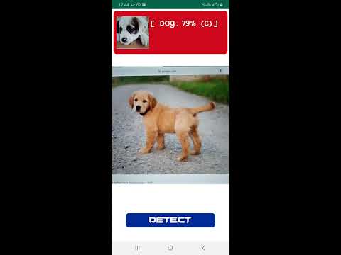 Android Dogs vs Cats classifier (With Tensorflow lite and Firebase)