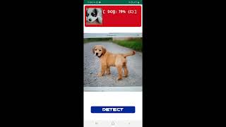 Android Dogs vs Cats classifier (With Tensorflow lite and Firebase)