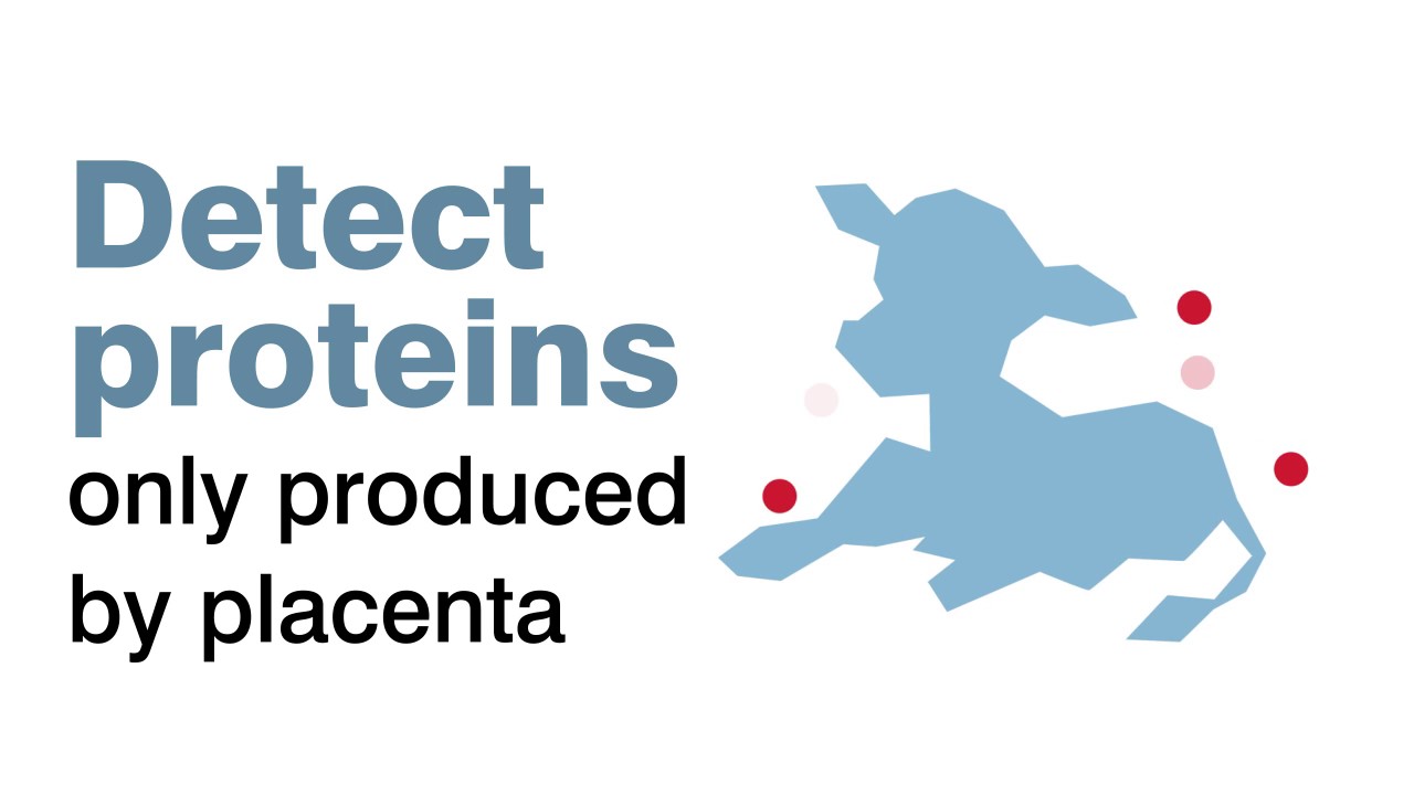 SampleBased Bovine Pregnancy Testing YouTube