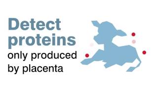 Sample-Based Bovine Pregnancy Testing