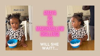 Amaya vs The Marshmallow Test: Will she wait?!?!