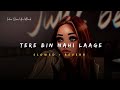 Tere Bin Nahi Laage ( Ye Raatein Ab Nahi Dhadkati ) - Uzair Jaswal Song | Slowed And Reverb Lofi Mix