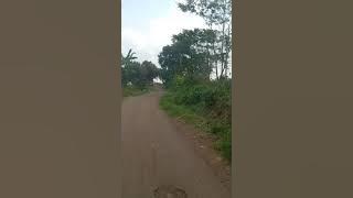 Story WA ll jalan jalan di siang hari yang cerah perkampungan