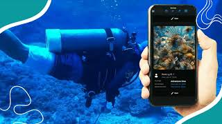 Anchornize, a one-stop platform that revolutionizes the way we dive. #diving #diver #divesites