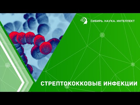 Стрептококковые инфекции