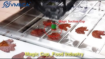 High Speed Delta (Spider) Robots in Food Pack Industries with Magic Suction Cups.