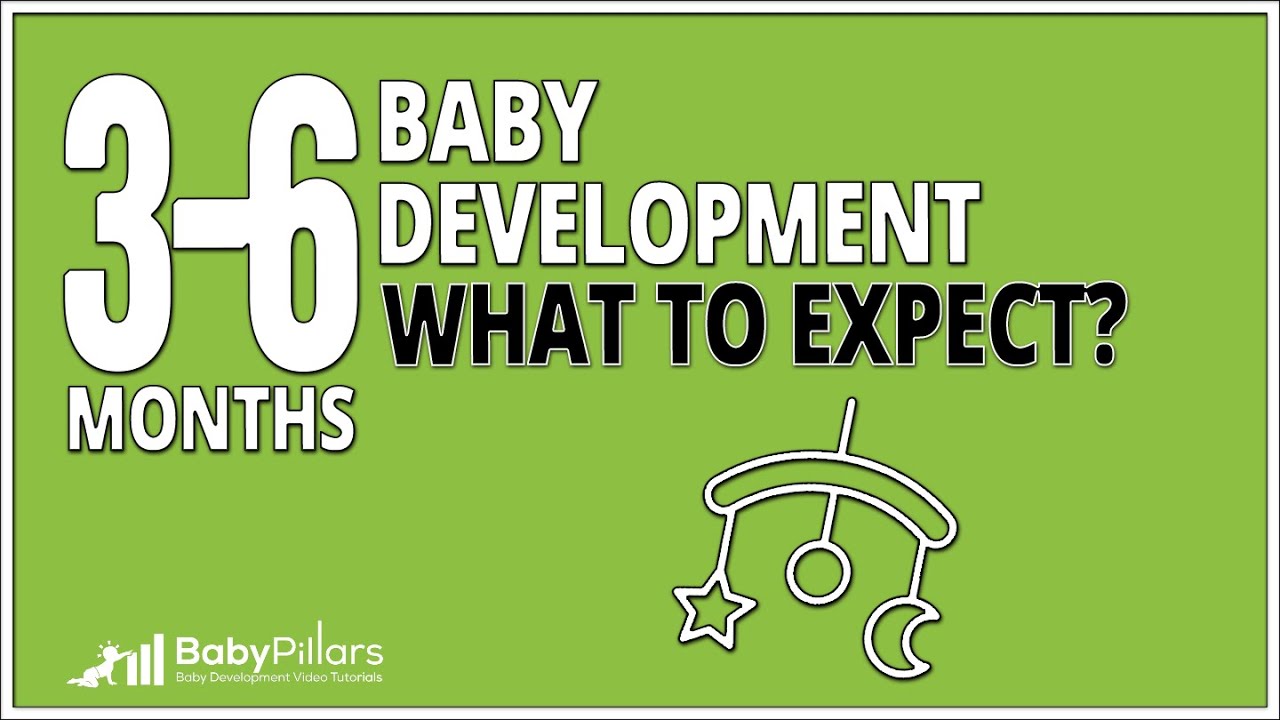 3-6 Month Baby Development: What to Expect and How to Help