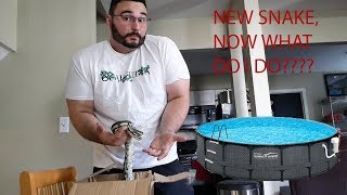 SOAKING YOUR SNAKES