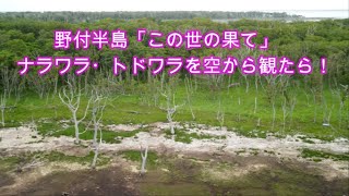 4k空撮 北海道 野付半島のナラワラ トドワラ凄い景色です 22 7月 Youtube