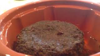 Fred the Venus Flytrap: the beginning