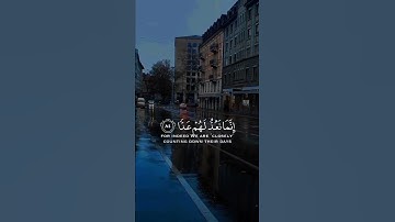 فلا تعجل عليهم إنما نعد لهم عدا | سورة مريم | القارئ عبدالرحمن مسعد
