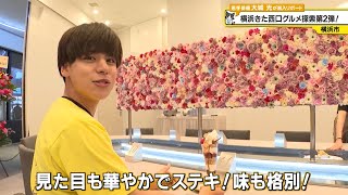ザ ヨコハマ フロントがTVK「猫のひたいほどワイド」にて紹介