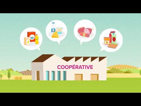 वीडियो: एक कृषि सहकारी समिति कैसे काम करती है?