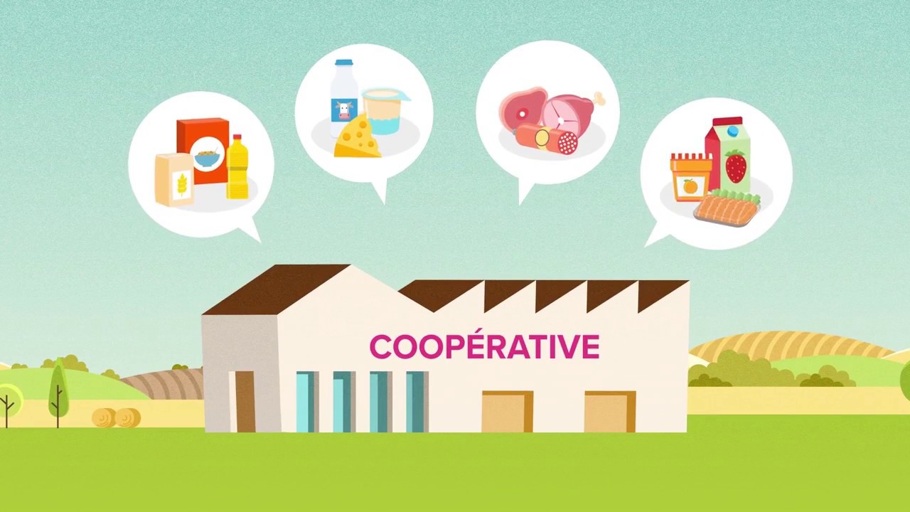 Farm Cooperative