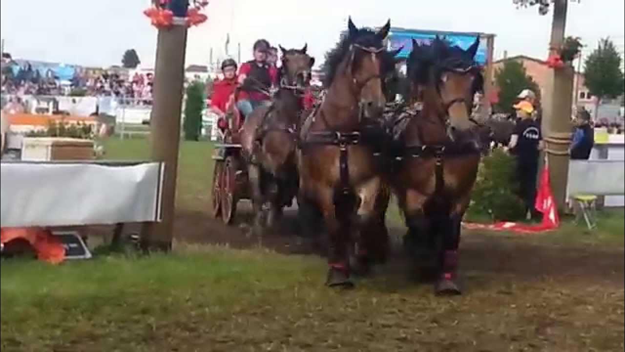 Titanen der Rennbahn, Brück 2015 - YouTube