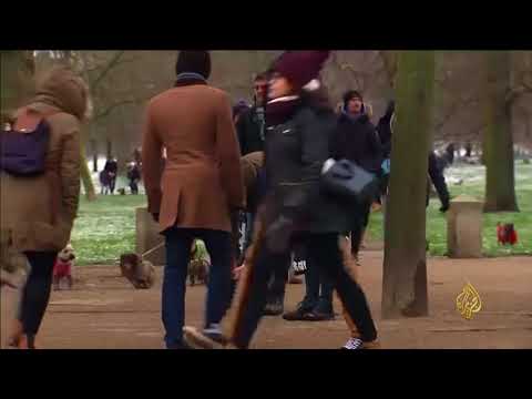 هذا الصباح - تجمع استثنائي لمربي كلاب الداشهند بلندن