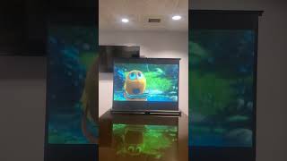 Bring a different level of movie theater experience to your home. No Calibrating or $$$$$ projectors