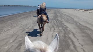 The Power And Beauty Of Running Horses