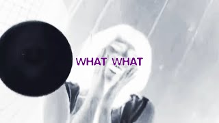 $UICIDEBOY$ - WHATWHAT (JEYKEY REMIX)