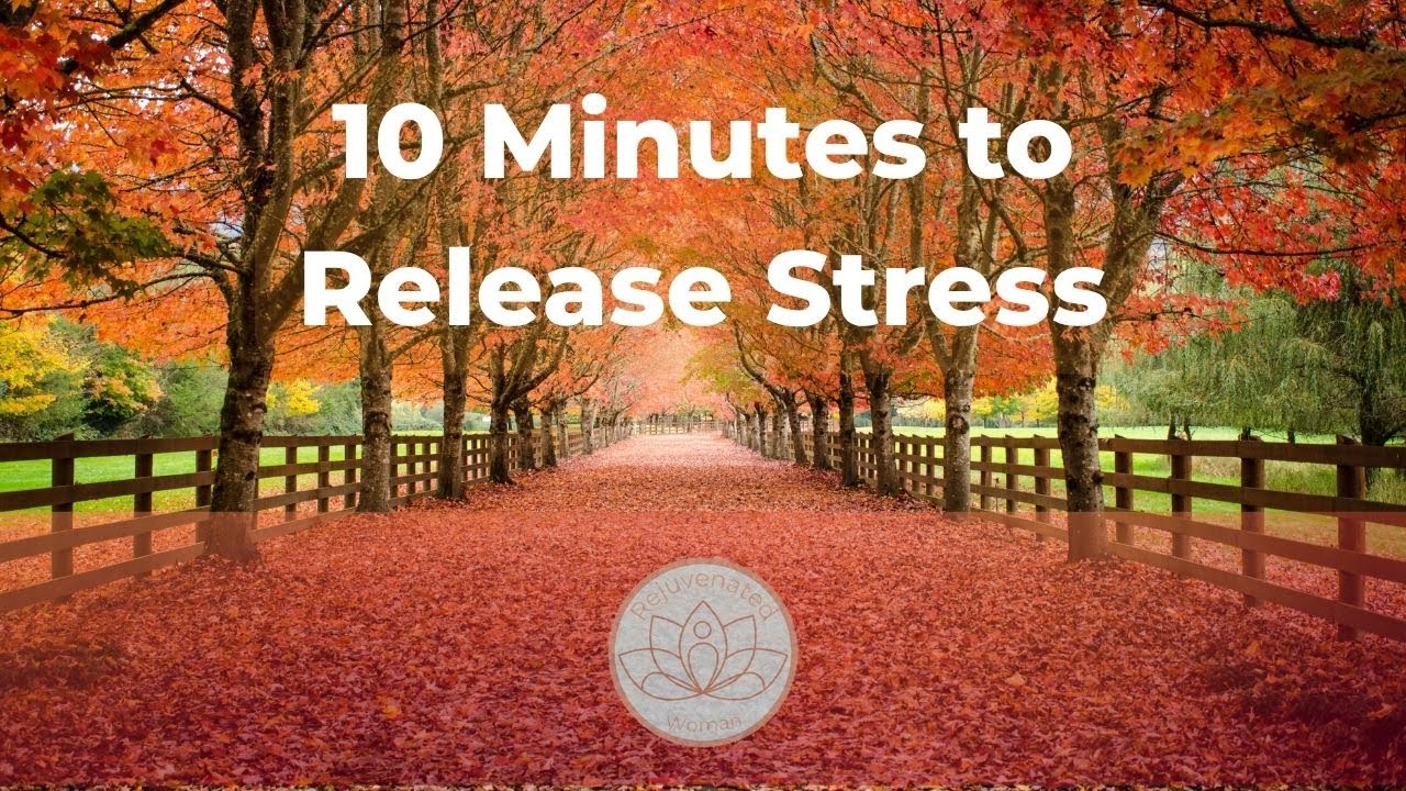 10 Minutes to Release Stress Guided Meditation for Caregivers - YouTube