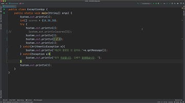 자바 예외 - 5. e의 비밀